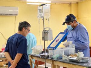 El Municipio fortalece su política sanitaria con acciones concretas en el cuidado animal.