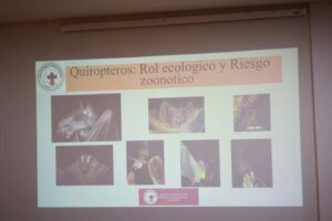 Santo Tomé fortaleció acciones preventivas ante la rabia paresiante en la Mesa Provincial de Zoonosis.