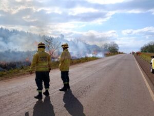 Continúan las tareas de prevención de incendios sobre la Ruta Provincial N.º 94